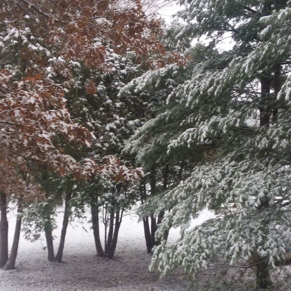 Meet your Posher, Tabatha